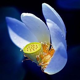 《绝地求生》发行商遭离职员工起诉 称被性侵后反遭解雇